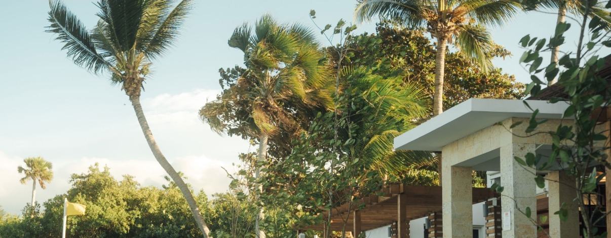 Resort pool framed by palm trees