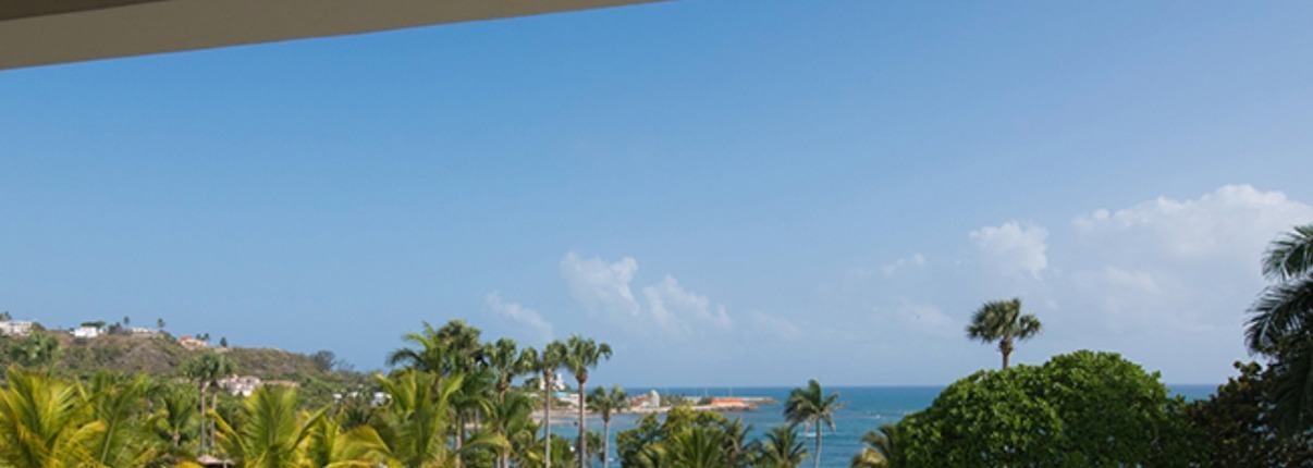 View across The Tropical