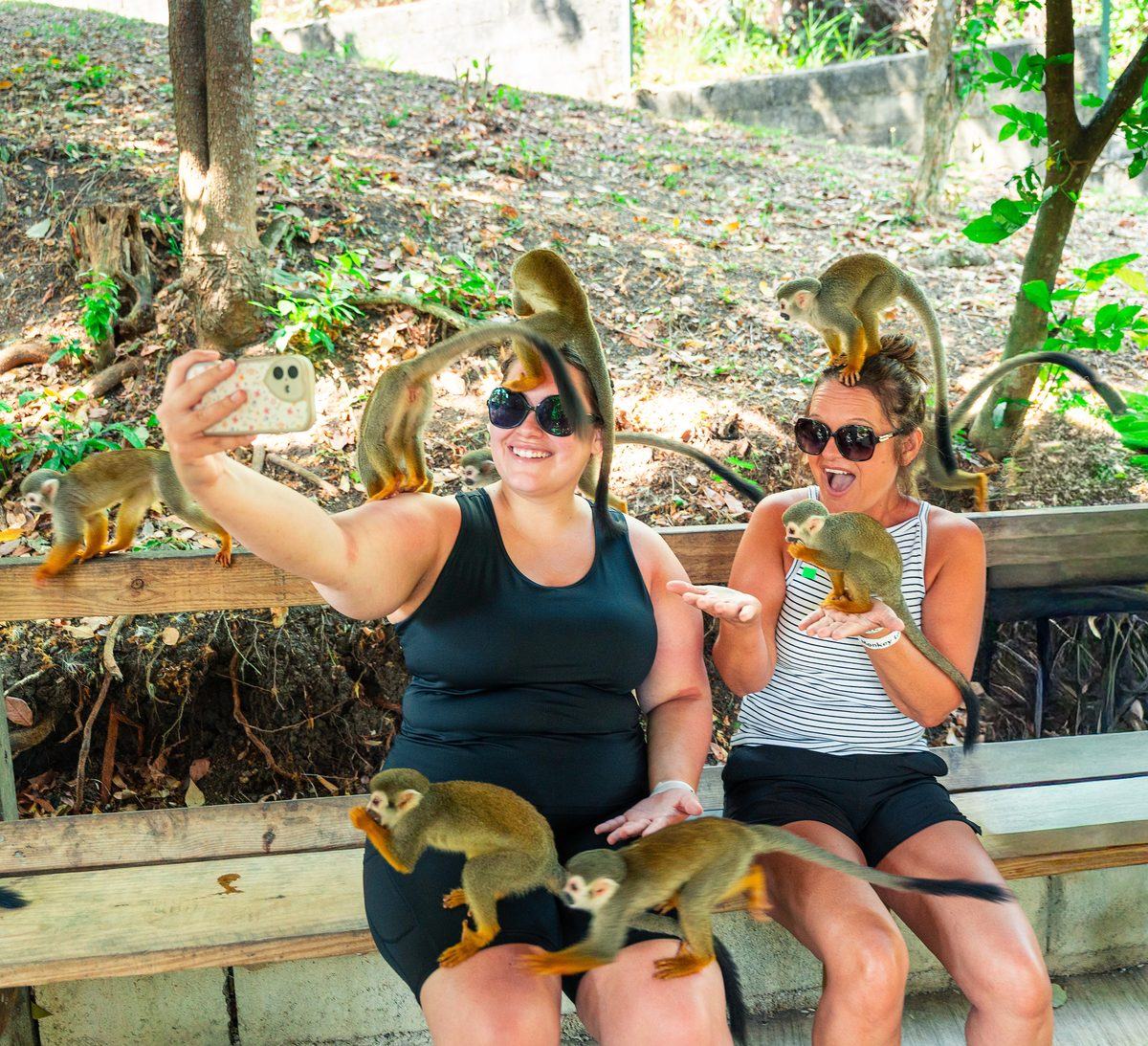 Monkeyland and Zip Line