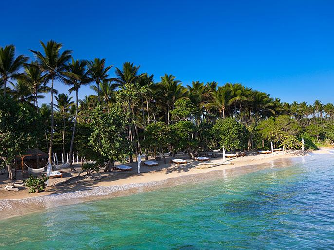 Serenity Beach lined with palm trees