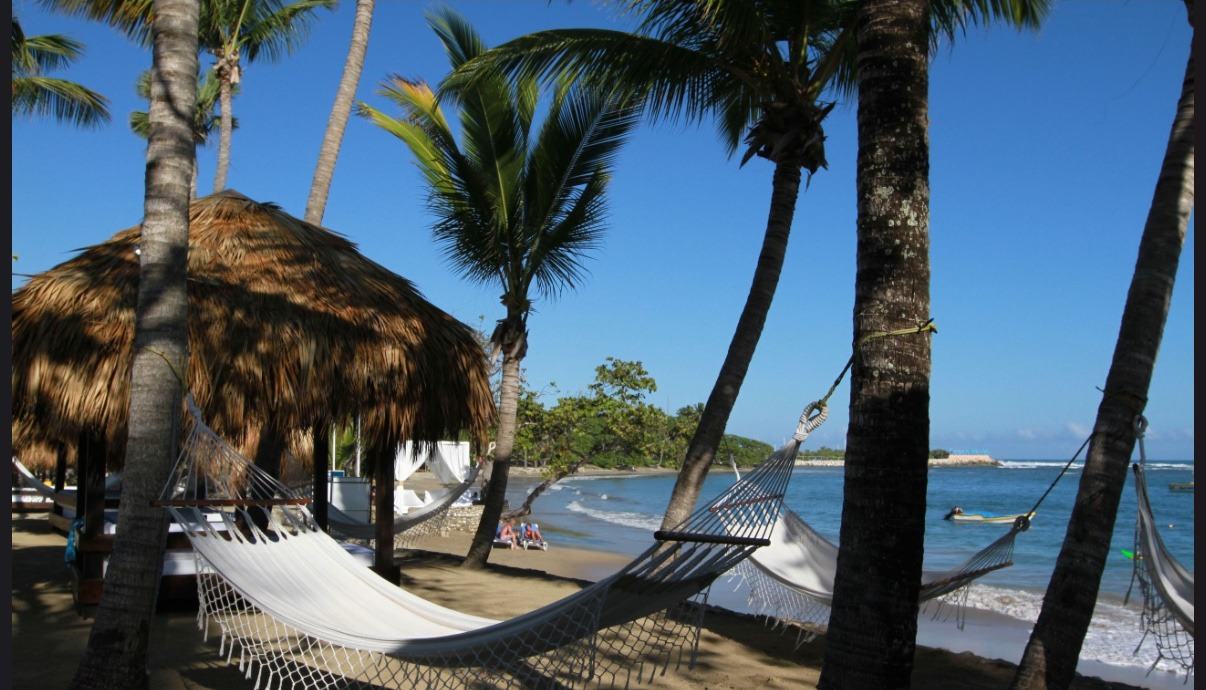 Beach hammocks beneath palm trees